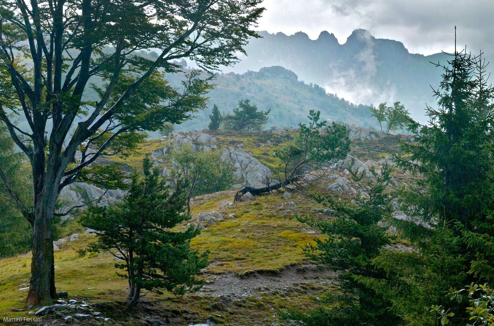 AL038 - Alpi Liguri