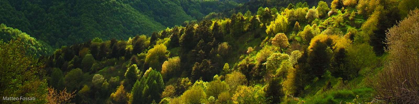 AL117 - Bosco delle Navette