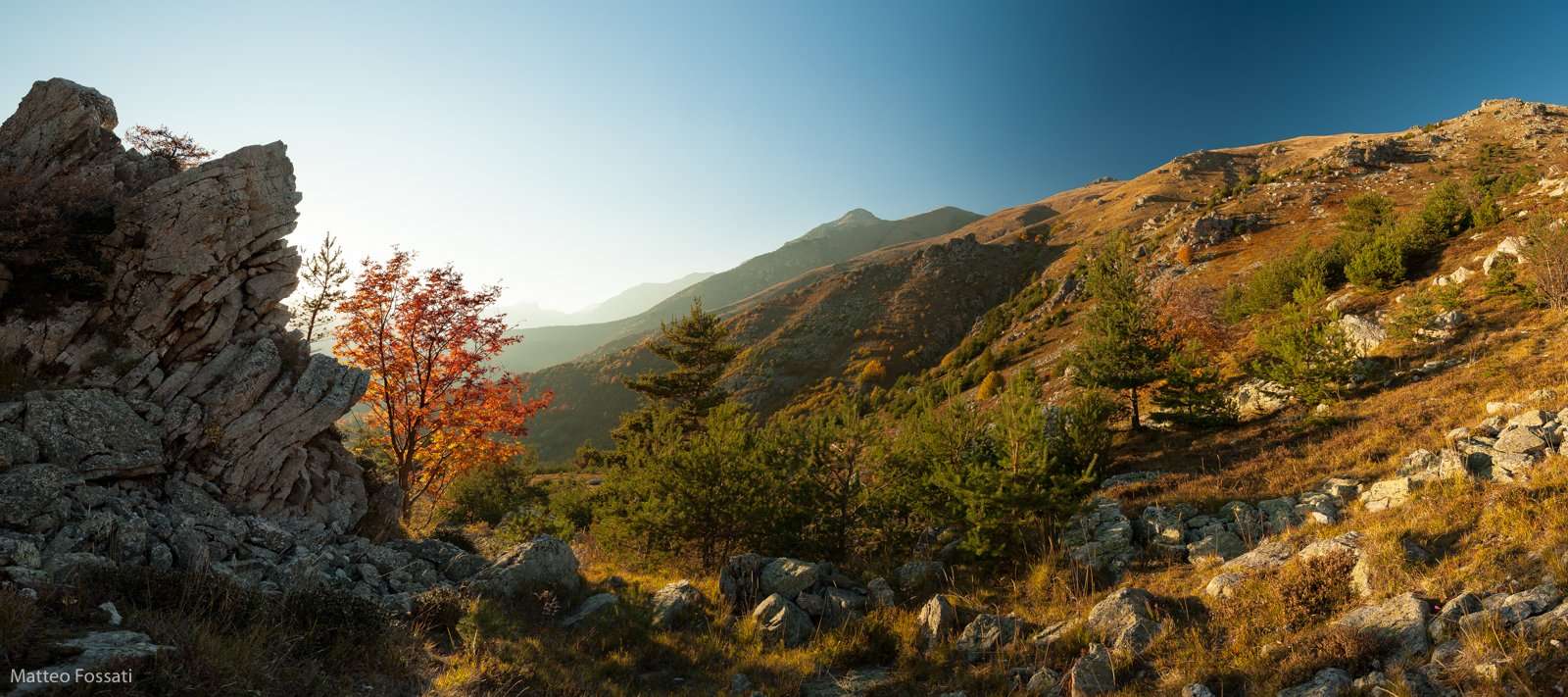AL241 - Rocce e pascoli del Pizzo d'Ormea