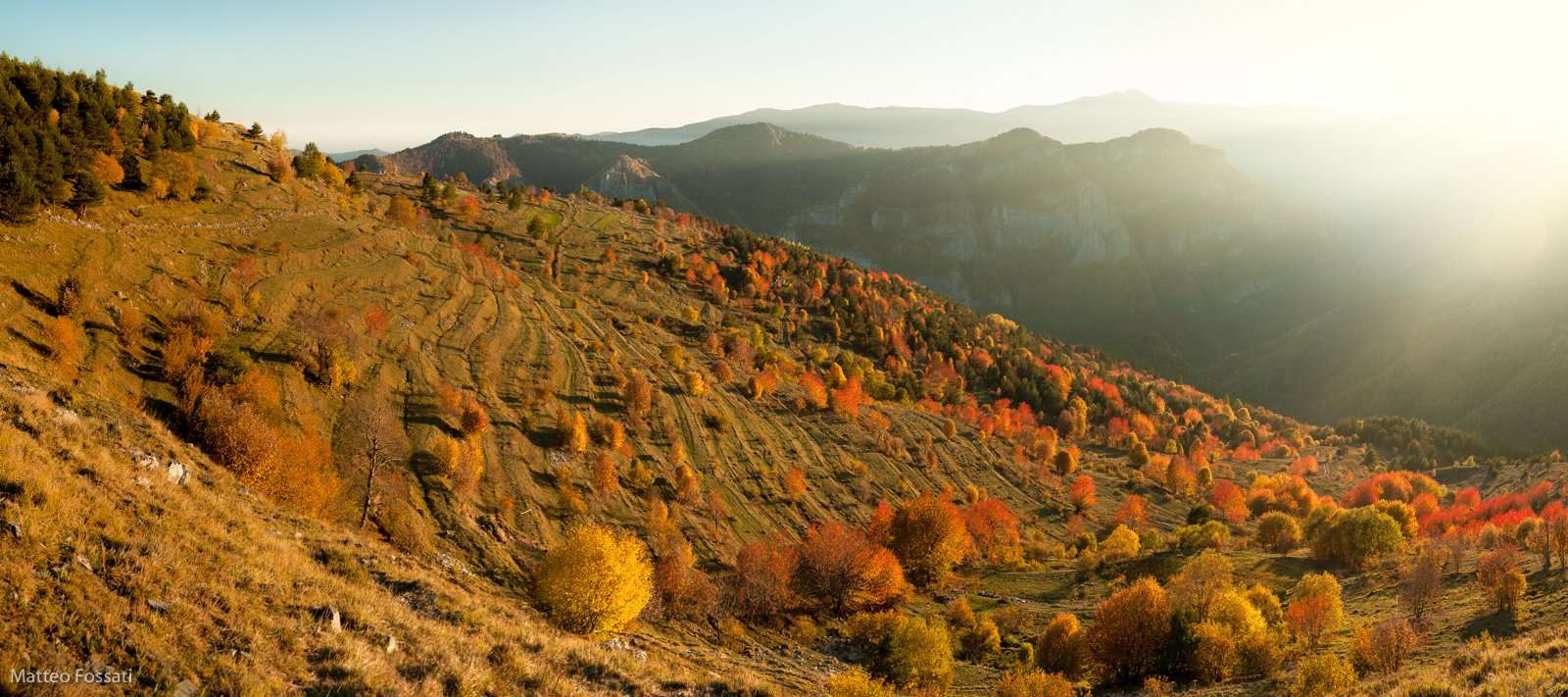 AL243 - Foliage in Alta Val Tanaro