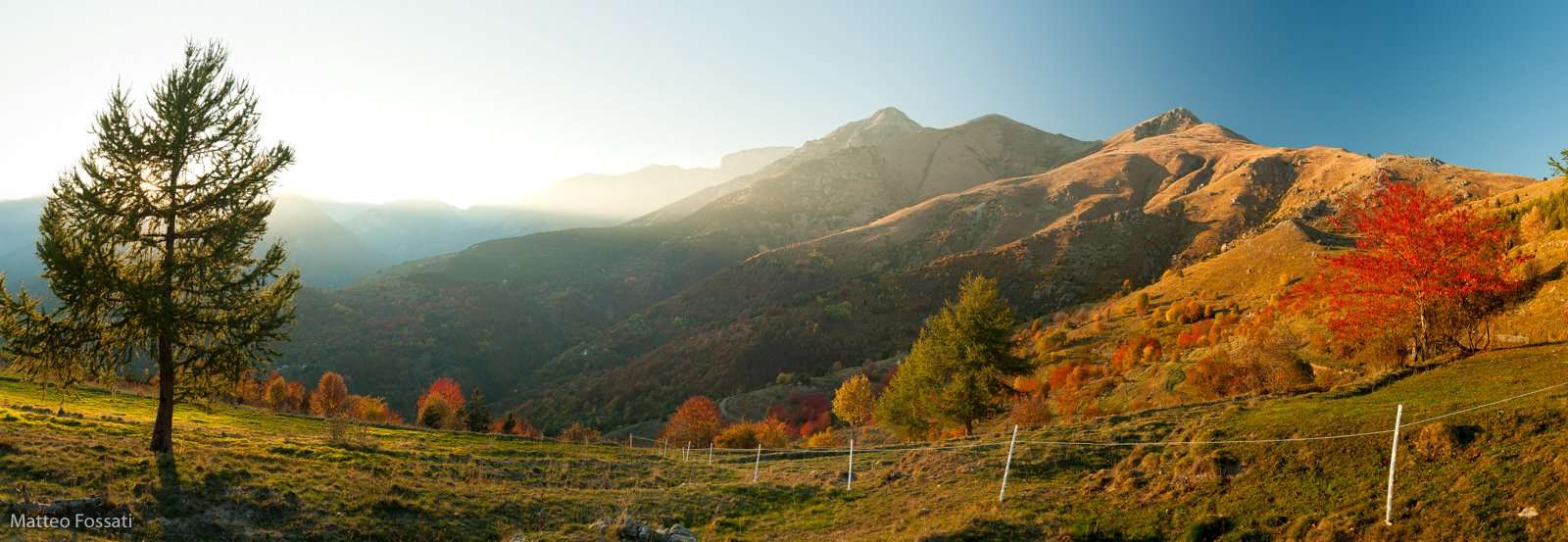 AL244 - Pascoli alle pendici del Pizzo di Ormea