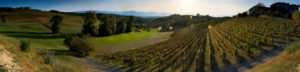 Autunno nelle Langhe