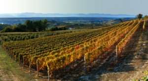 Autunno nelle Langhe