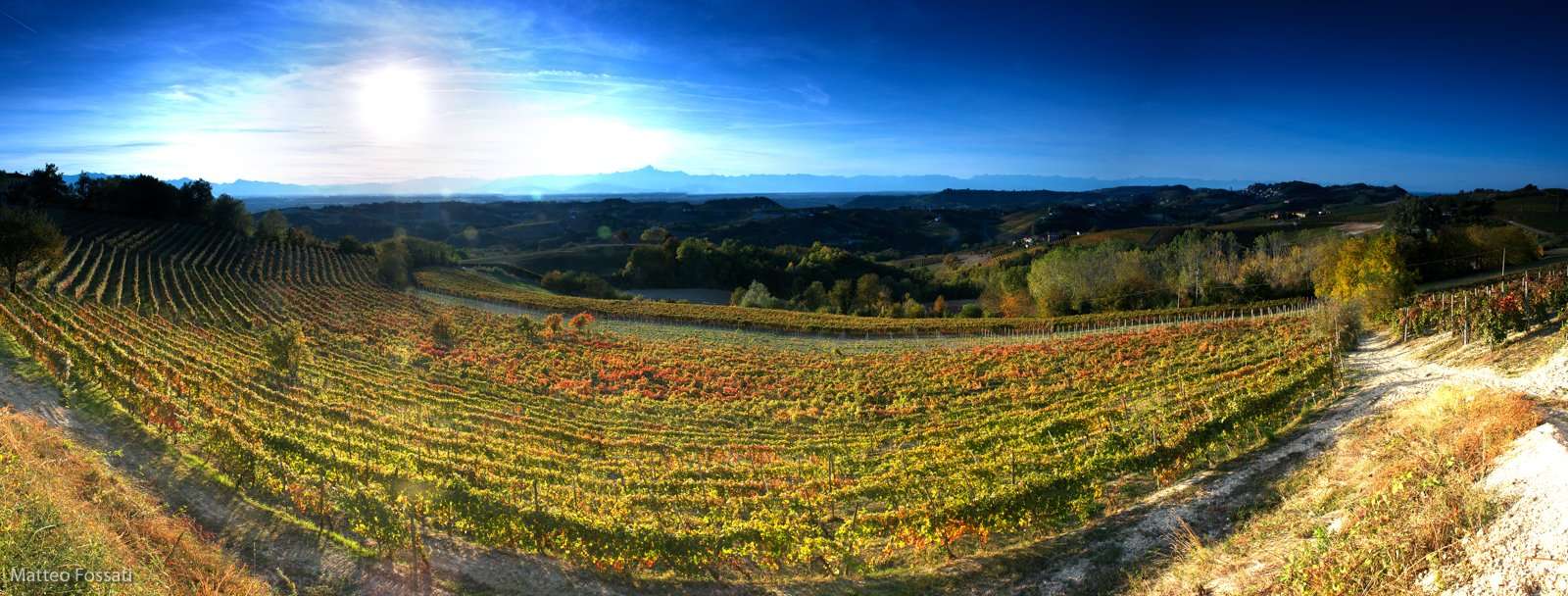 ALL005 - Autunno nelle Langhe