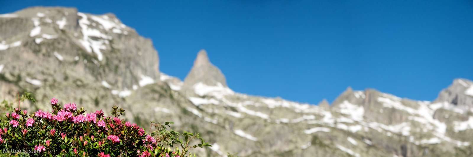 LP048 - Rododendri e Rocca della Bastera