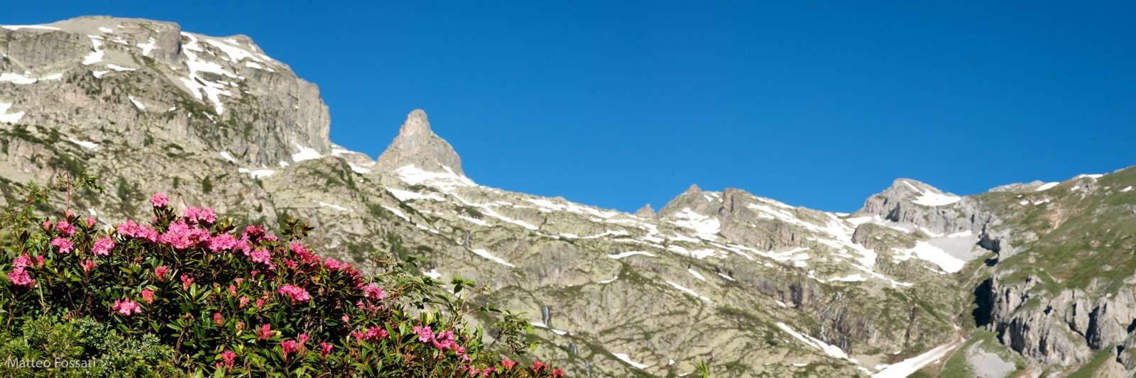 LP049 - Rododendri e Rocca della Bastera