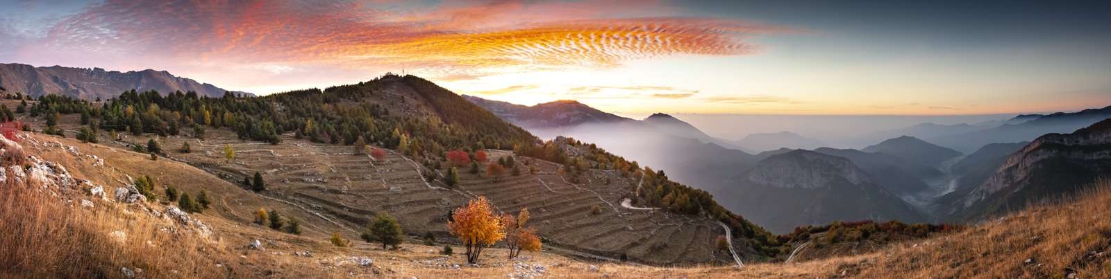 AL301 Poggio la Colma 1